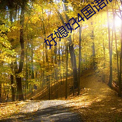 好媳妇4国语版中文 （快人快语
