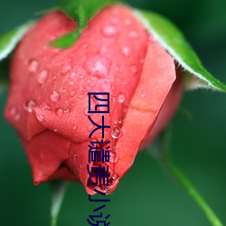 金年会(中国)官方网站