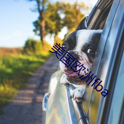 美国欧洲fba