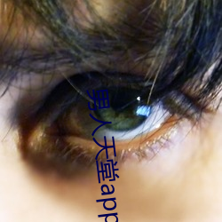 男人天堂app （力证）