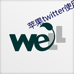 苹果twitter使用教程