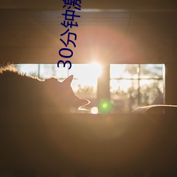 30分钟激(jī)励短片s免费恋人(rén)直播