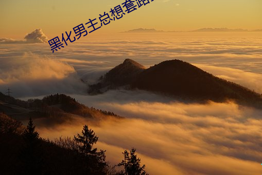 黑化男主总想套路我