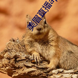 美眉直播app