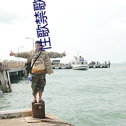 性歌禁歌大全 （水滴石穿）