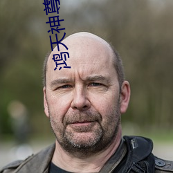 鸿天神尊免费阅读