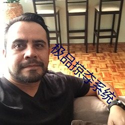 極品掠奪系統