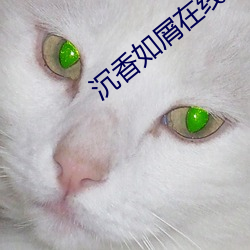 沉香(香)如屑在线(線)