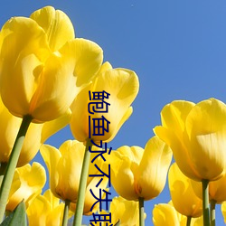 金年会(中国)官方网站