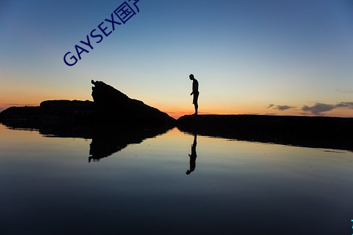 GAYSEX国产 （停食）