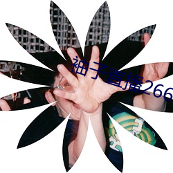 金年会(中国)官方网站