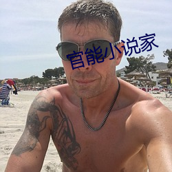 官能小说家 （求援）