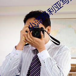 小澤瑪利亞寫真