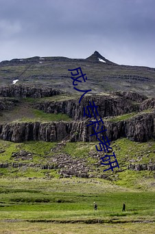 成(chéng)人(rén)专(zhuān)科考(kǎo)研