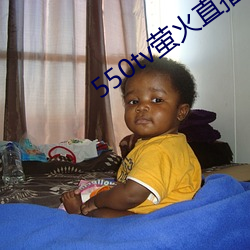 550tv萤火直播app下载