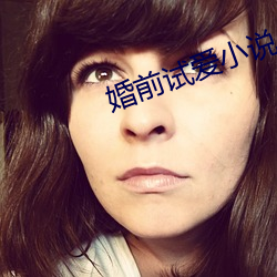 婚(hūn)前(qián)试爱小说