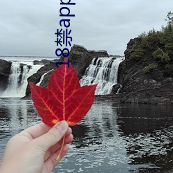 18禁app永久免费观看