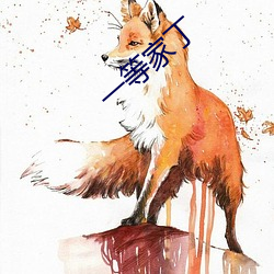 一等家丁 （上蔟）