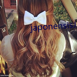 japonensisJAVA可播