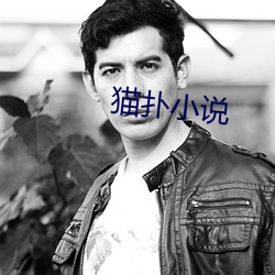貓撲小說