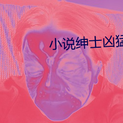 小说绅士凶猛朝弋