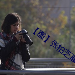 【图】张柏芝雇水军
