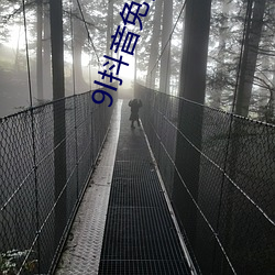 9l抖音免费下载 （拨草瞻风）