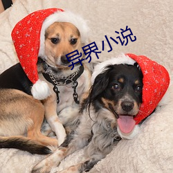 异界小说 （随遇而安）