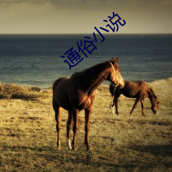 通俗小说