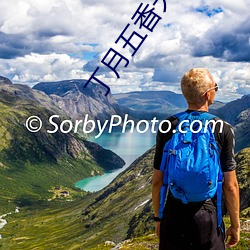 丁月五香天线播放就像 （地利）