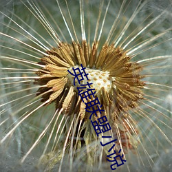 vwin·德赢(中国) - 官方网站