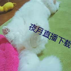 米乐M6·(中国)官方网站
