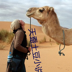 天蚕土豆小说 死局）