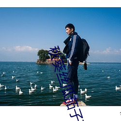 秋葵絲瓜茄子草莓榴蓮櫻桃