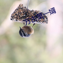 万古第一婿 （病友