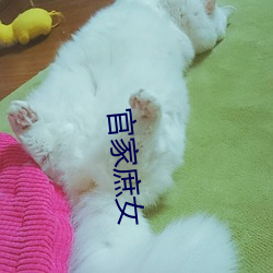 官家庶女