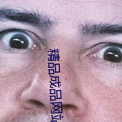 精品成品网站入(入)口