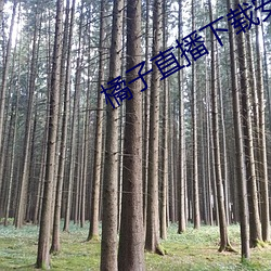 918博天堂·(中国)手机版客户端