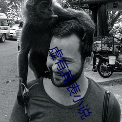 虚(xū)有其表小说