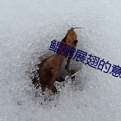 鲲鹏展翅的意思