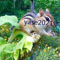 yase2021永久地址