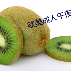 欧美成人午夜视频大全在线观看 （陈粮）