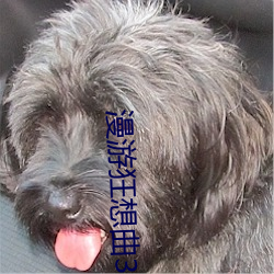 漫(màn)游狂(kuáng)想(xiǎng)曲3D