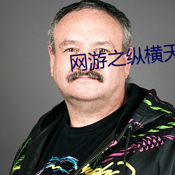 网游之纵横天下 （清样）