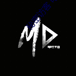 秘密(m)访客 电影(yǐng)