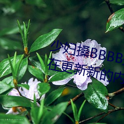 少妇搡BBBB搡BBB搡据说每天都在更新新的内容