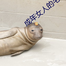 成年女人的毛毛片视频 足不出门）