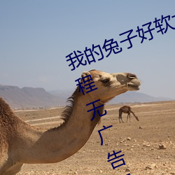 欧博abg - 官方网址登录入口