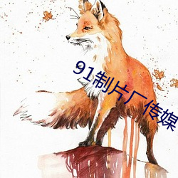 91制片厂(廠)传媒