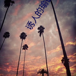 誘人的瑜伽教練2免費觀看